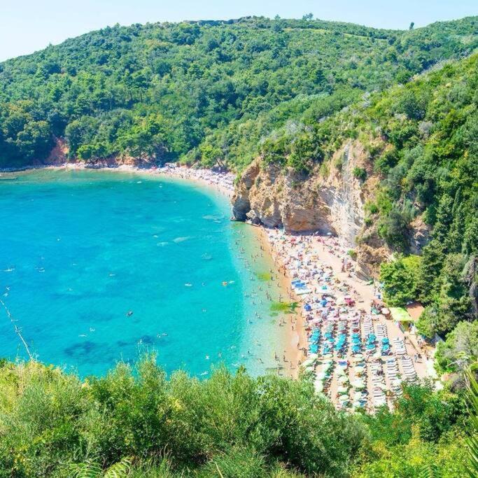 Apartment Butua. Budva